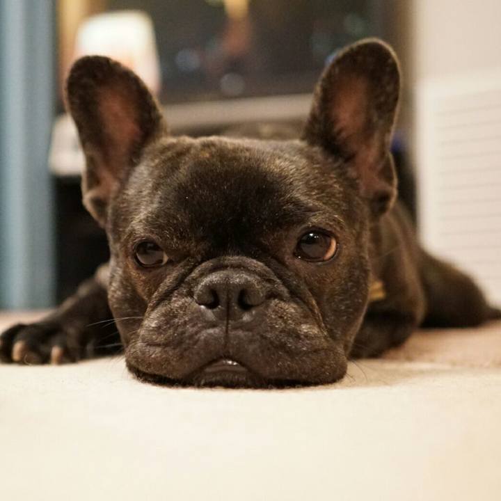 70f176ef 9896 4f0c bfcc 70959a3a1f98 1516797819393