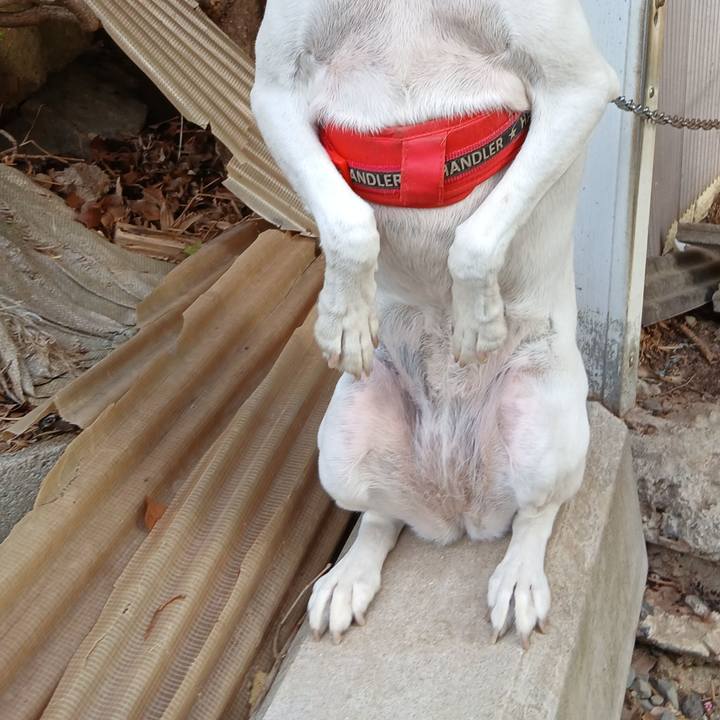 70f1bc57 11de 49e7 90b2 9033ea6b9212 1761035712427