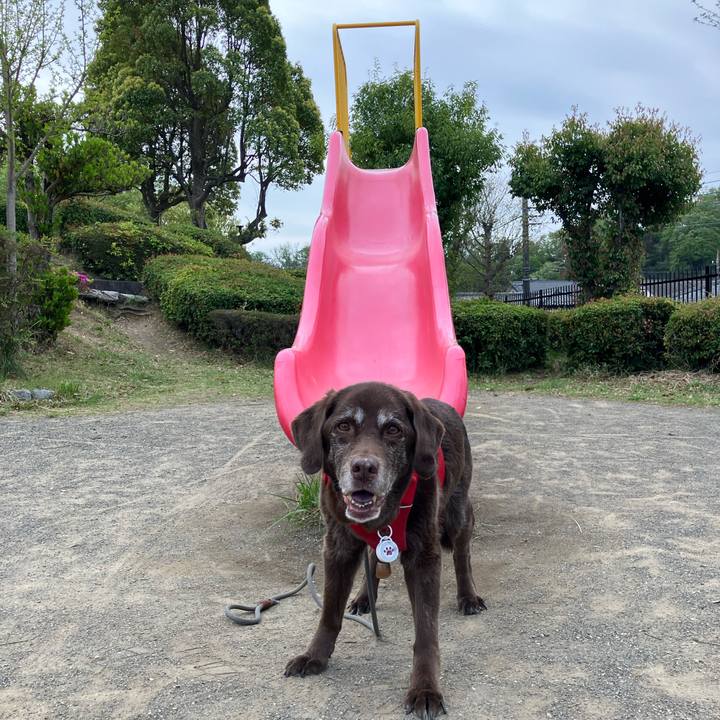 70f1c29c ed6e 47a6 9a4c 8f7897379ba4 1776158390318