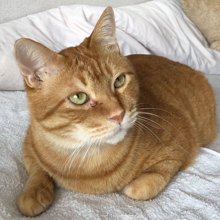 70f1c3cf 2207 4066 ba7f 1d091bda3ce6 1614470477315