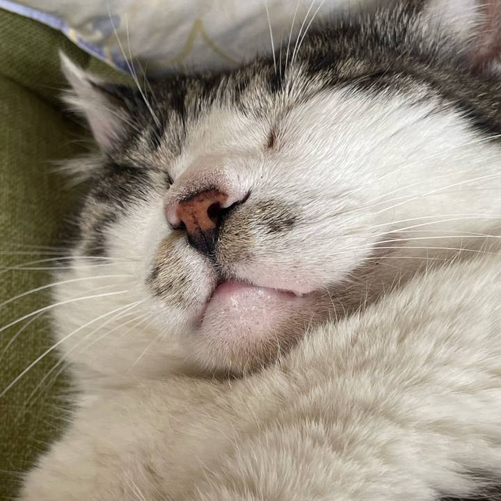 70f1d64a 31da 42a8 a8bb a8155b67f265 1686374958710