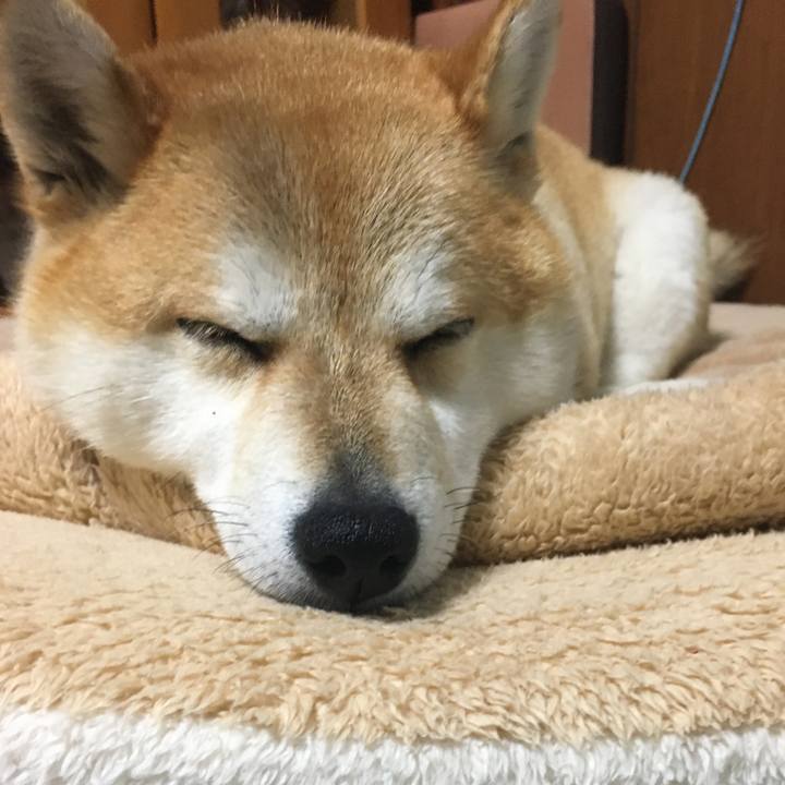 70f2170c 8b1a 490f b2f4 fd42db79effd 1583842222457