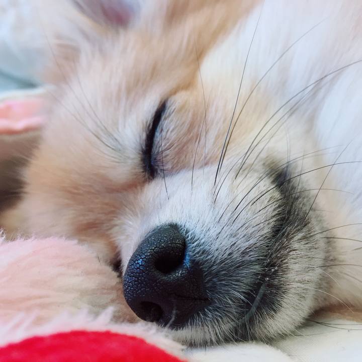 70f231ee f886 495f a5e1 f3dbea2fa923 1520678066977