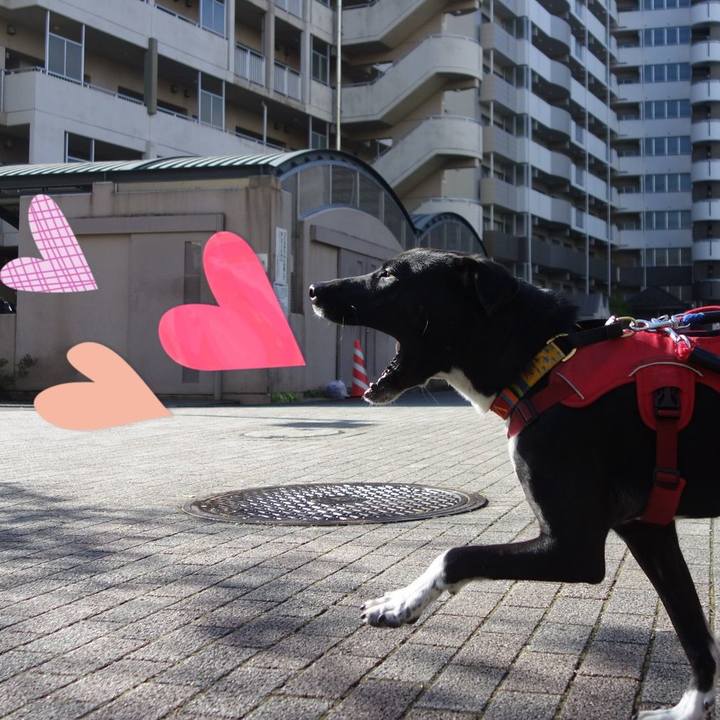 70f28d45 7677 450c a51c 5d175b38a29b 1586823937112