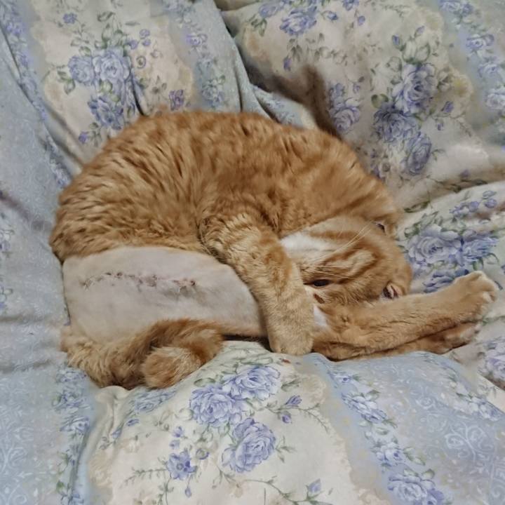 70f29dff 661c 4c06 8536 3a4d3f2df5a2 1654086439406