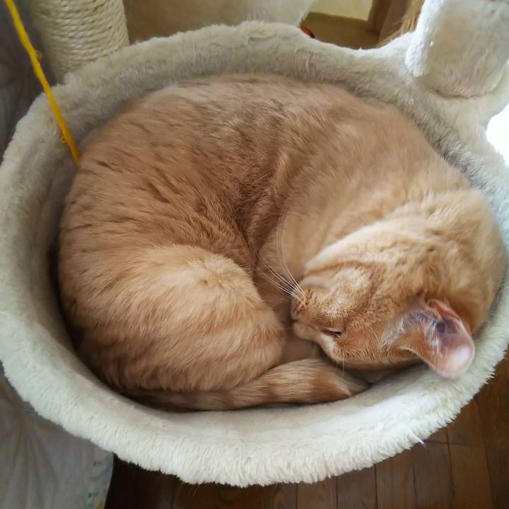 70f2bca3 e190 4401 9e48 c0fe49cb6c20 1685764382826