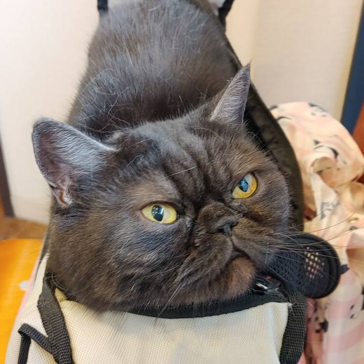 70f2db16 8016 4092 a565 26db9ffffdd4 1653172185674