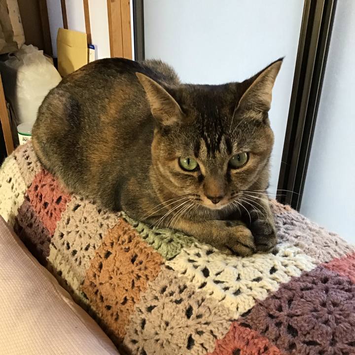 70f354fd 3bc1 4cdf acc0 fb1fb6f4cf03 1608361695864