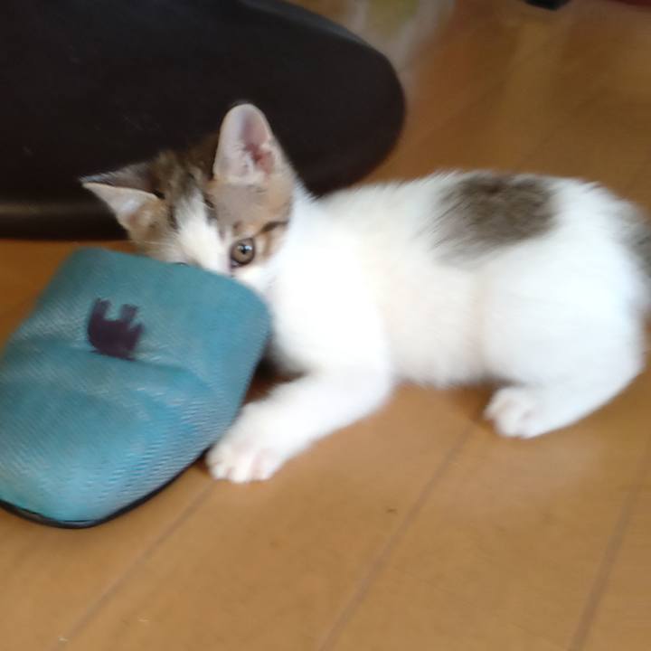 70f36735 cfca 4868 b434 fe13aa285721 1632565674053