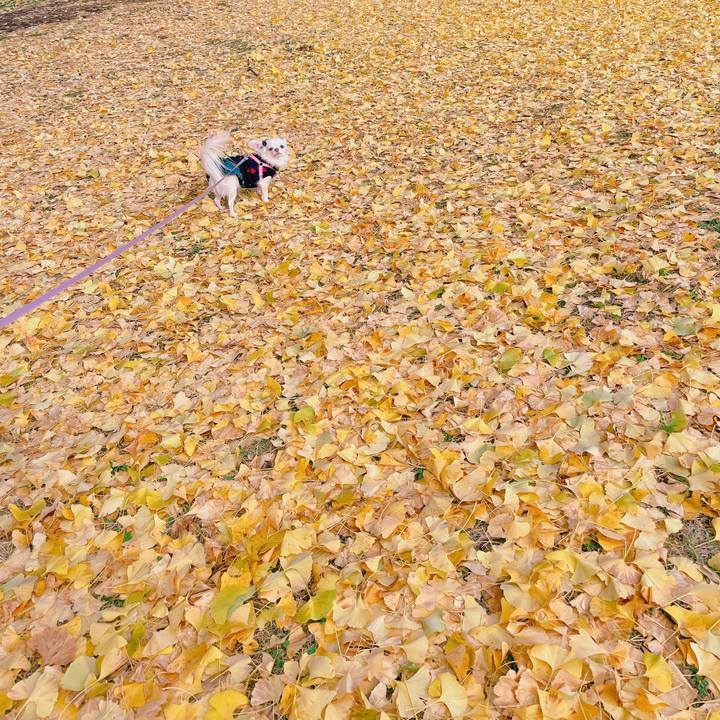 70f3693e 863d 4ad5 bee1 ee6c9032ad7c 1669277598242