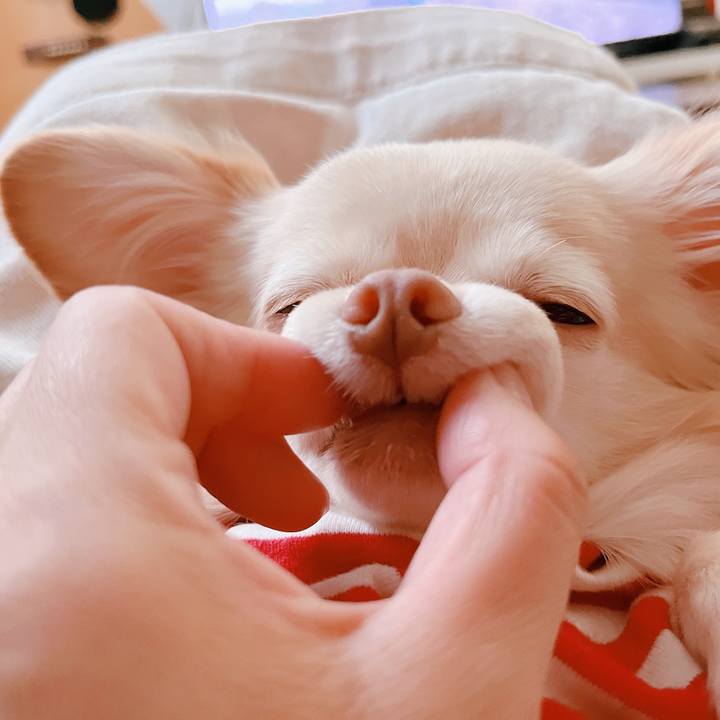 70f3a075 f827 449b b6cf 890ad56f7545 1665748800236