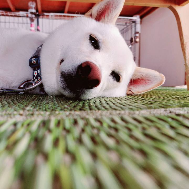 70f3a0c2 29e7 4328 9bc4 a709508bf16c 1662697926103