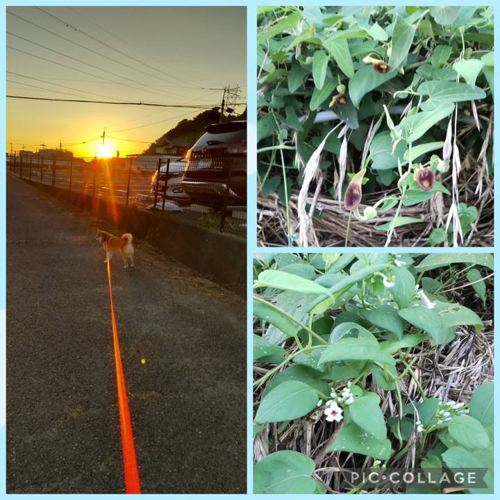 70f3b13a f12f 4668 add4 0b87af12b65b 1756702119607