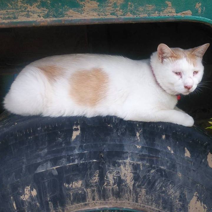 70f3be72 dd9e 4660 af16 4522380f5009 1592264818064