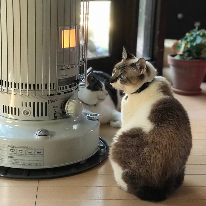 70f3d04c 3f34 4768 a37a 886e5e42f046 1517813800721