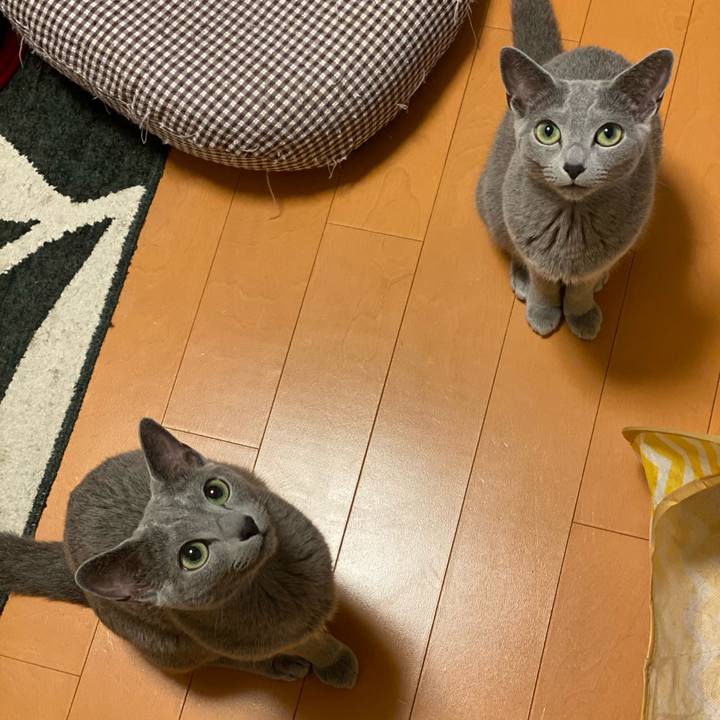 70f3d251 b314 4f5a ad1b be9fa72d4484 1652842794187