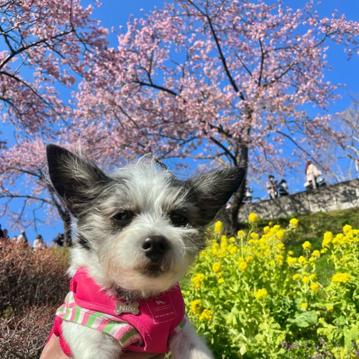 70f3d37d 43ab 4631 937e 58f685528f72 1771152462100