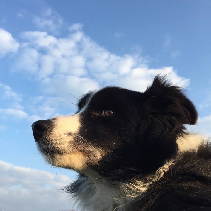 70f401da bf88 4730 a82a 44afccb65096 1544656378416