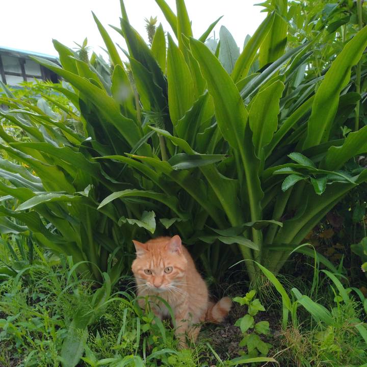 70f41a71 7adc 430a bb40 112904c96a12 1689891057501