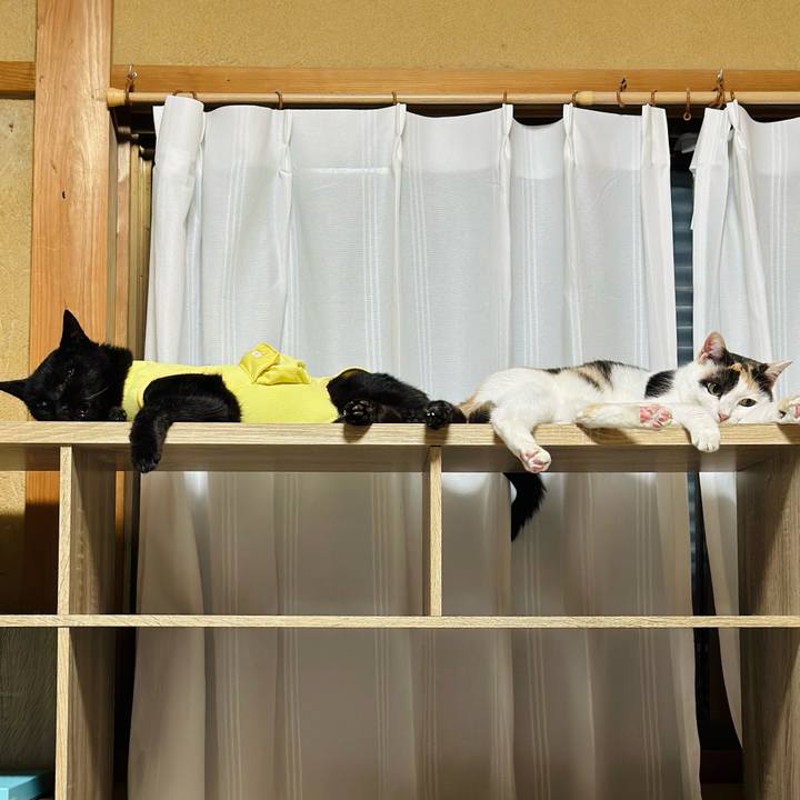 70f424ad 9b64 4994 8cfa 22535e44b92e 1720748107565