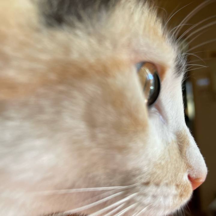 70f42e03 4fc1 4014 a6bd 6f4d90f1af11 1677460544148