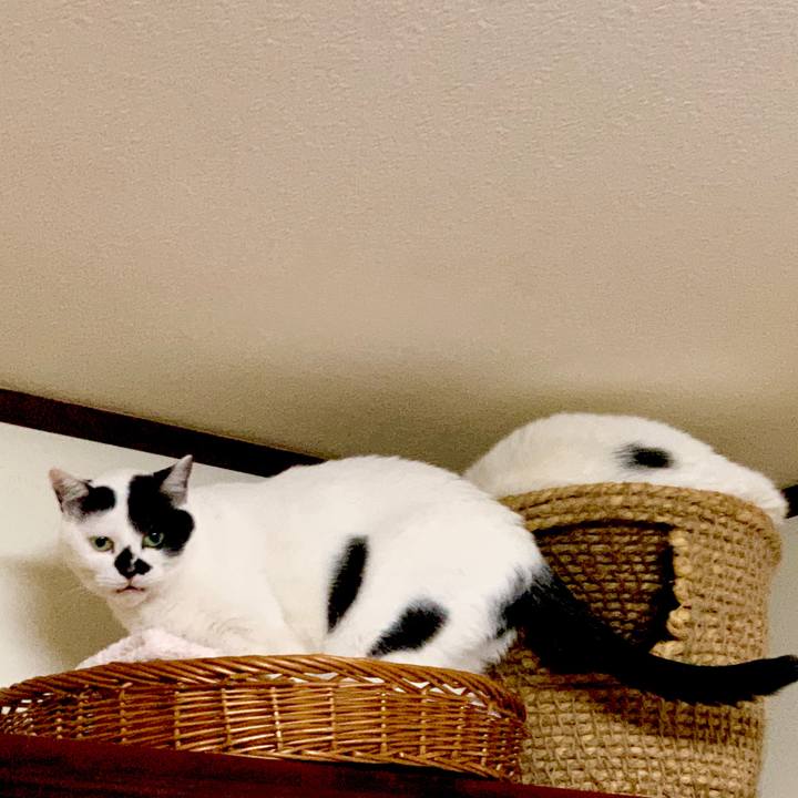 70f45622 3f35 4743 ac98 ed3fea5ec968 1578052983362