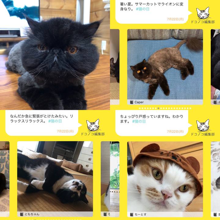 70f46be1 d15a 4625 9bae a426ed4da490 1563763193559