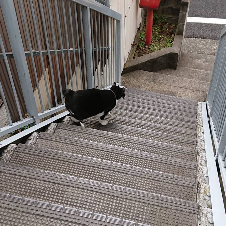 70f47fe3 0bf2 44ad bfcd 7fd8addc6f19 1555028661497