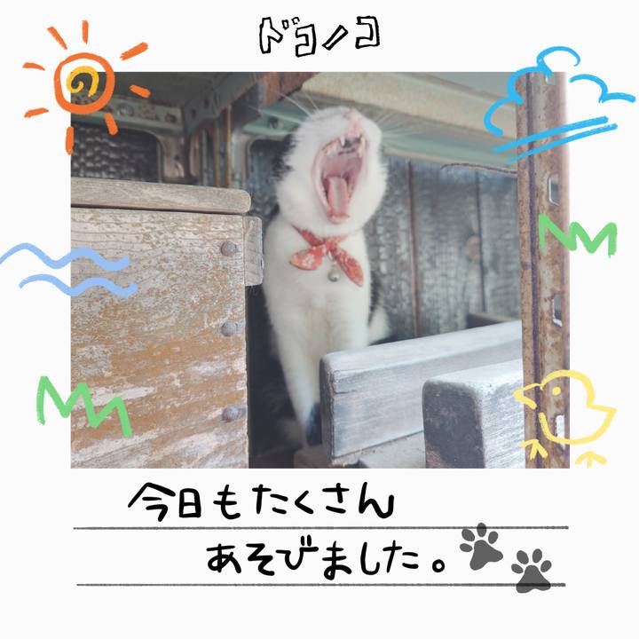 70f4ec89 f72f 4747 9a95 ef57aed749ac 1755316294763