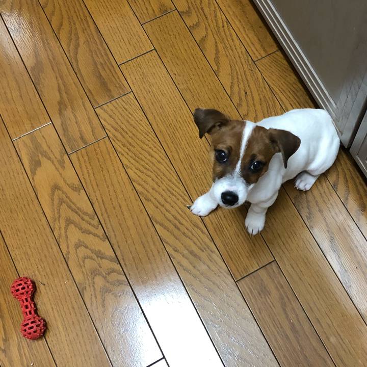 70f4f563 1080 4990 b0ad c61ce1367e2f 1513901188824