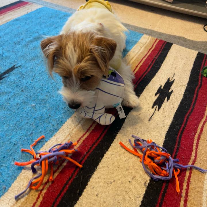 70f515d0 b9d0 409a a696 c83707701f76 1765671708828