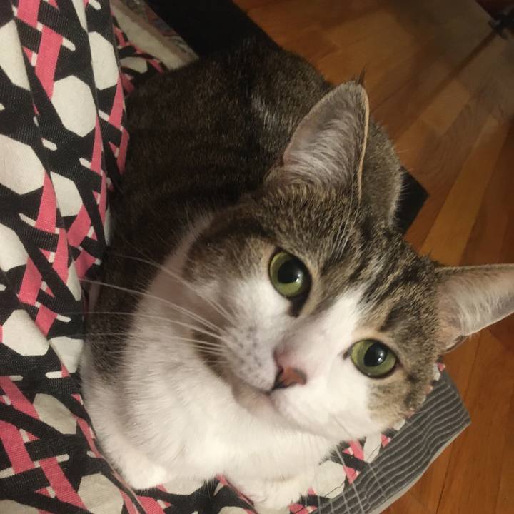 70f54676 54cd 45e1 af2e b34cf451406c 1633393449975