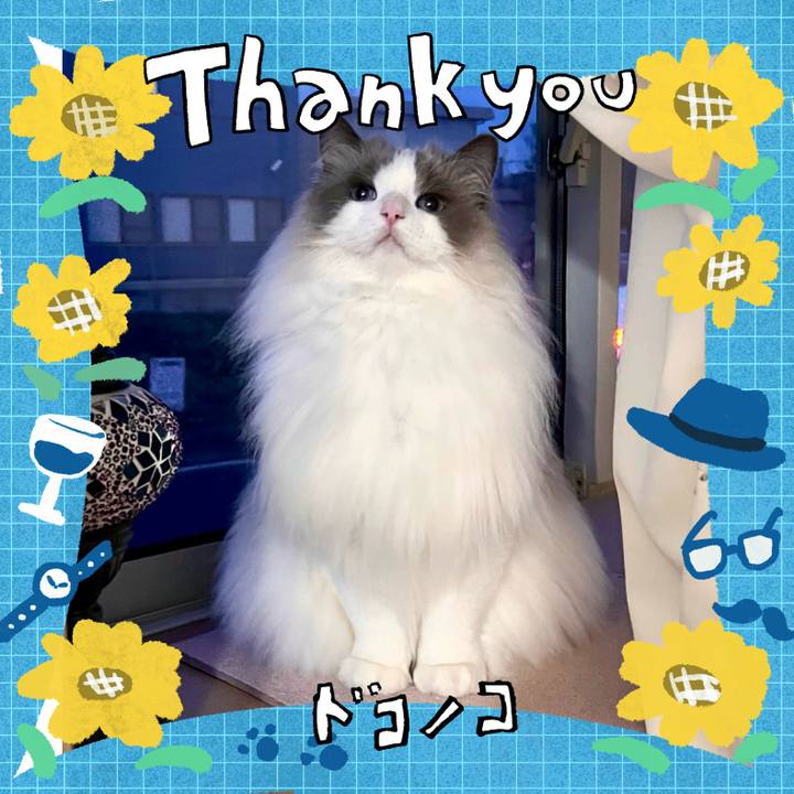 70f55007 87ec 49e3 ab08 5dfdcb202b49 1717830298969