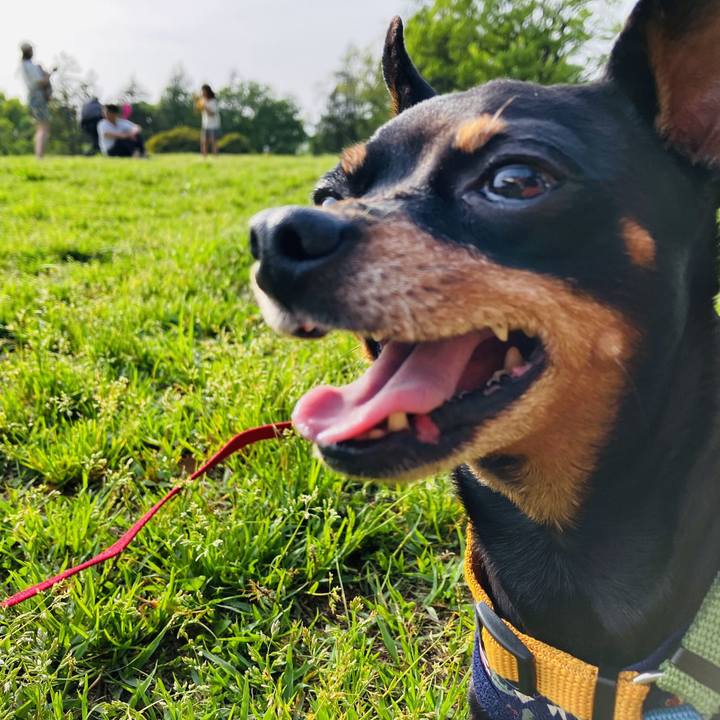 70f5c88f 0844 455e 9200 7bc295f6e5ca 1714333086054