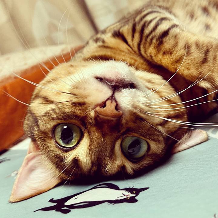 70f60e88 aa9f 43e5 8140 48cf01d54bad 1657080140179