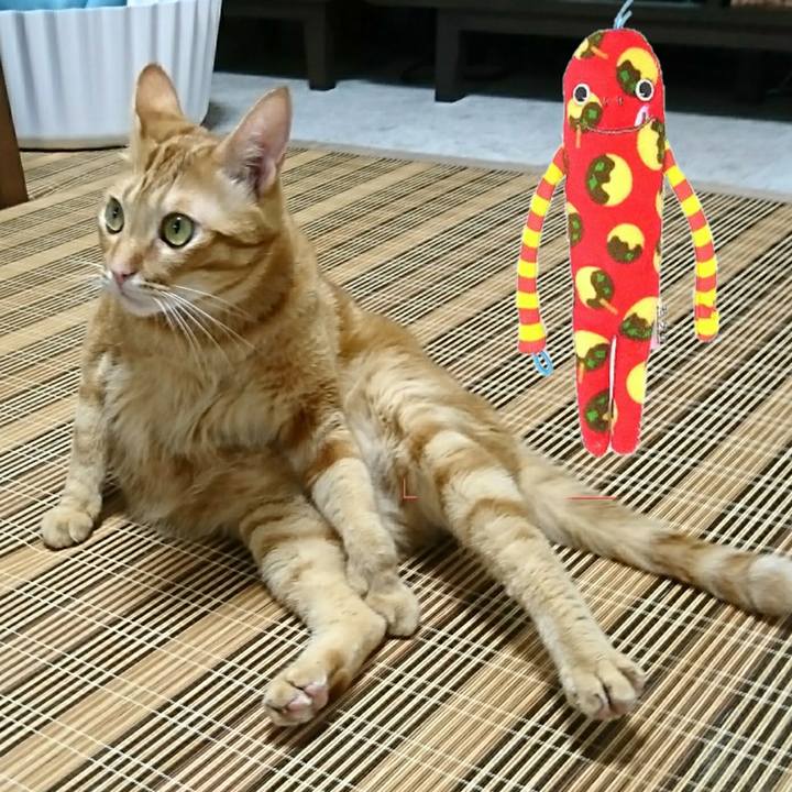 70f620bb 1e94 40c7 b277 906e5f663289 1535790935838