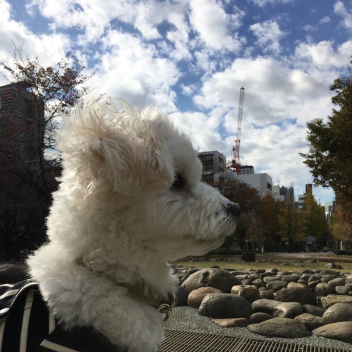 70f63f10 6905 4d4e 9d0a 9c5fe70a3230 1542680951876