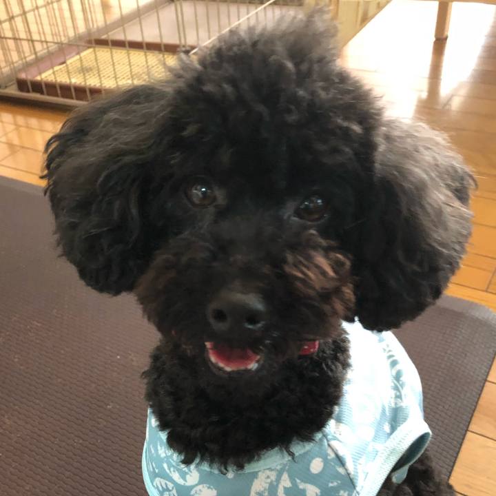 70f6436f 2b9a 415b 925a 4bf48abf0cbd 1589716640824