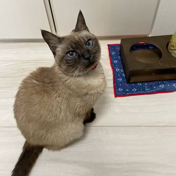 70f65549 f954 48ae 9b82 a2b2029e7c35 1768607604125