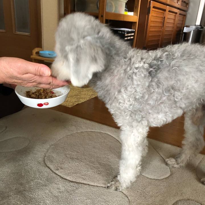 70f67c76 8772 41c9 b474 5ae20ff8aaea 1654816324446