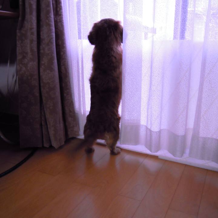 70f694fe 65a4 4d54 adb2 547fc42e90cb 1533495185207