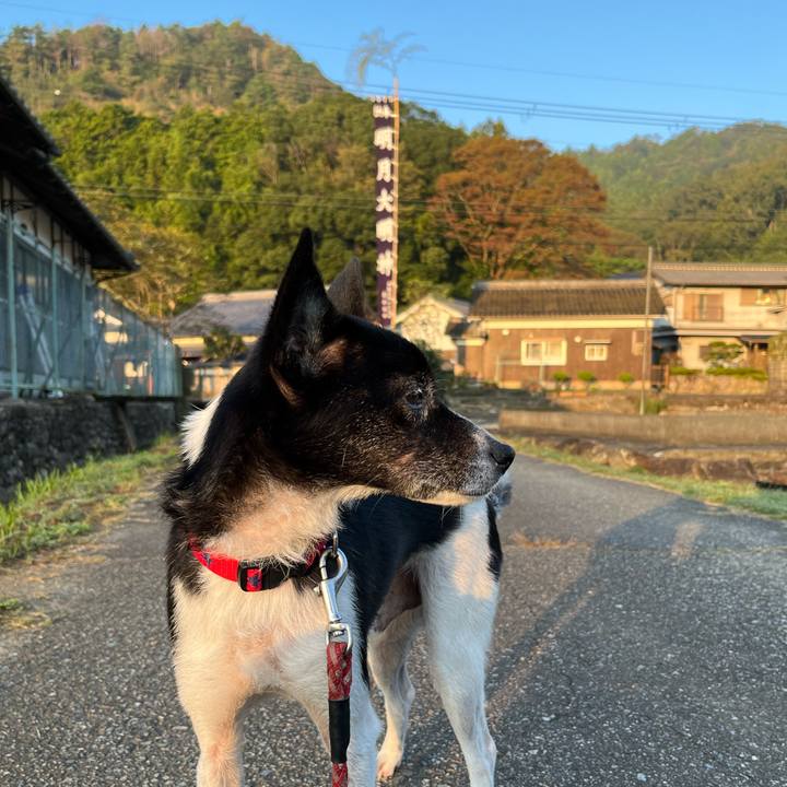 70f6b072 0496 43cb 8ecc 4b0a31b91b26 1696033885315