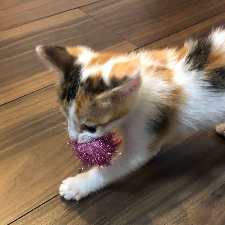 70f6b962 214a 4926 b99e 2a021b075b88 1561037977752