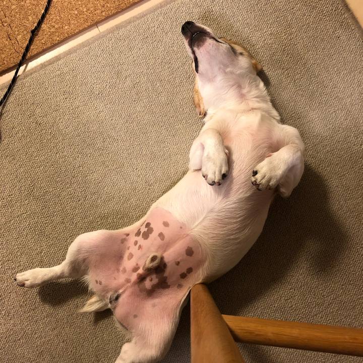 70f6d433 dfa6 4443 a219 c7b738deaa3d 1560863118043