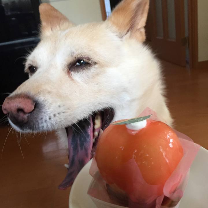 70f6f2cb d1eb 48c9 bb47 4e3dba47bd29 1531008709838