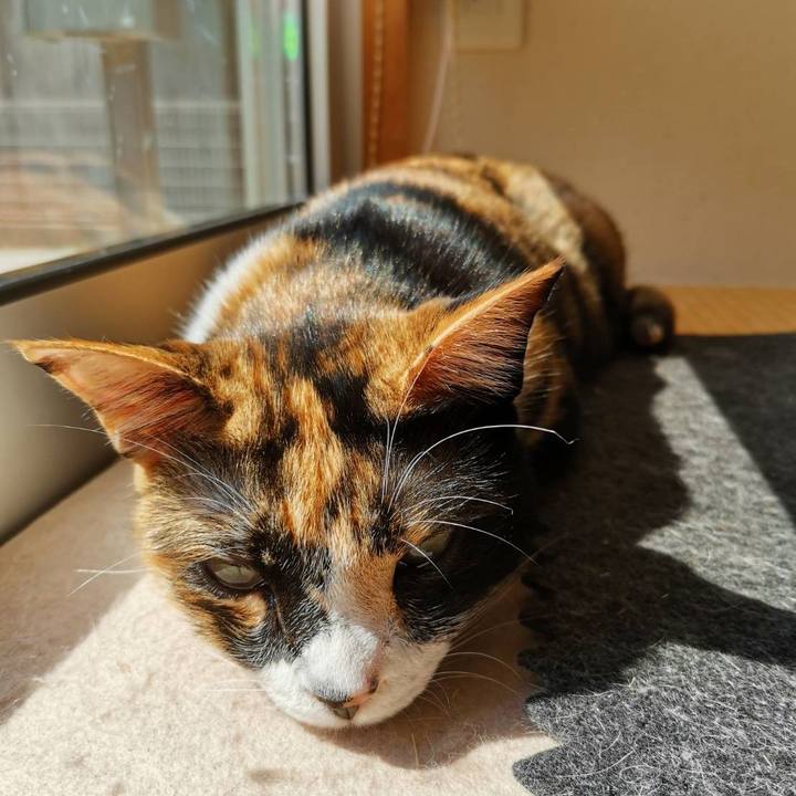 70f70070 e7d9 4882 bdfa 4b8c49293a46 1621828594420