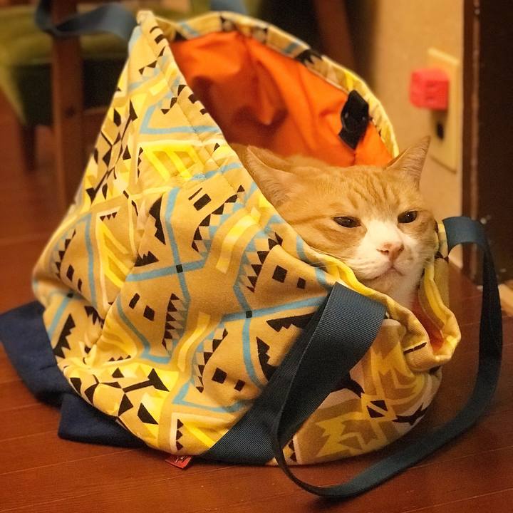 70f73b9c e260 455a a84c 2eea8721ef96 1535210588881