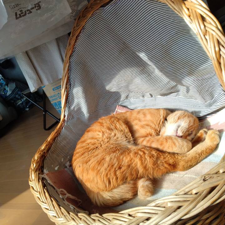 70f75cf1 1ac0 4624 8c62 51bda8b709d1 1667976019223