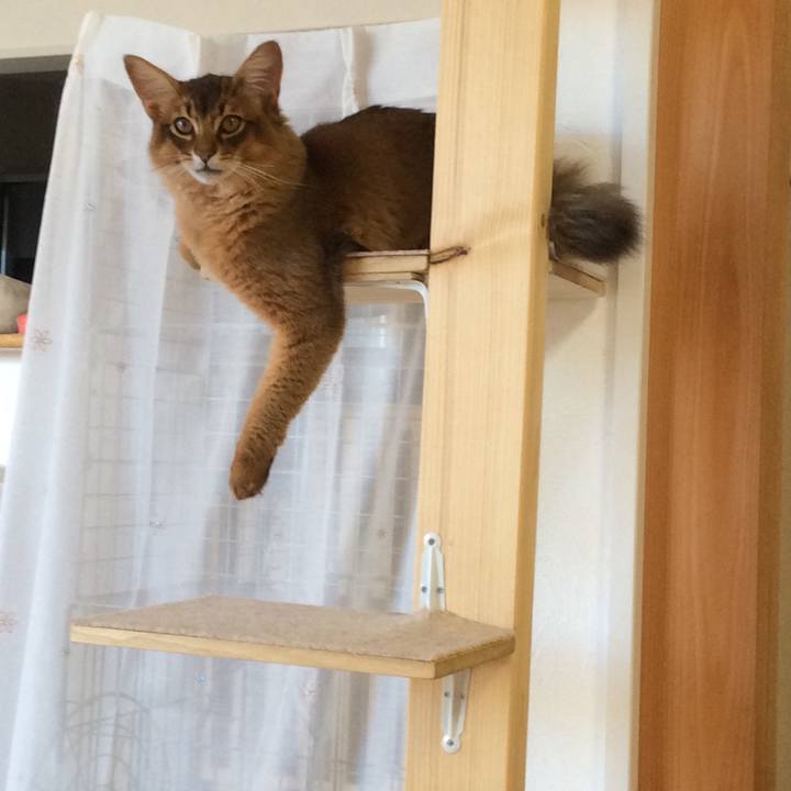 70f76e1b 7bad 498b a343 1d1e3ae35dcf 1581205573848