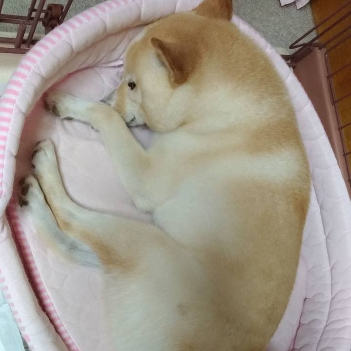 70f7996d 67e4 45df 8683 b89c6d4a8791 1597586274290